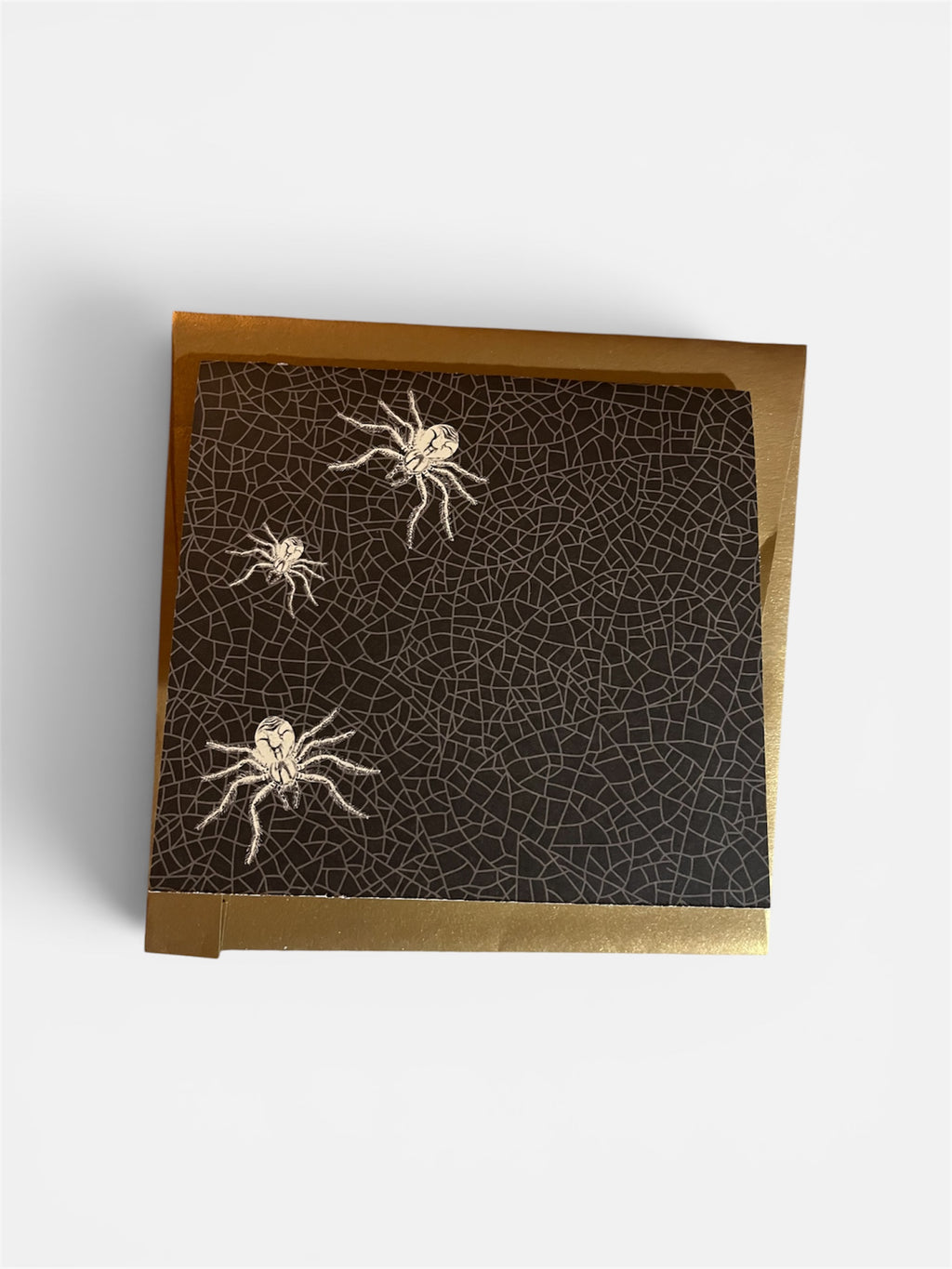 Large Spider Note Card blank card