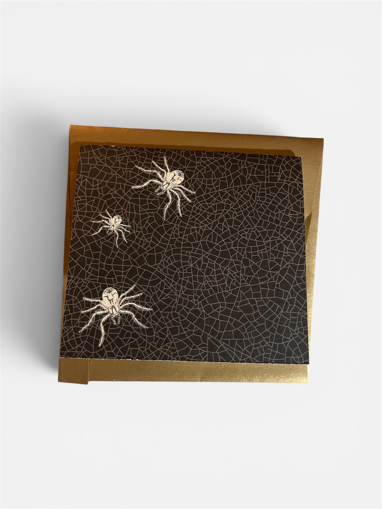 Large Spider Note Card blank card