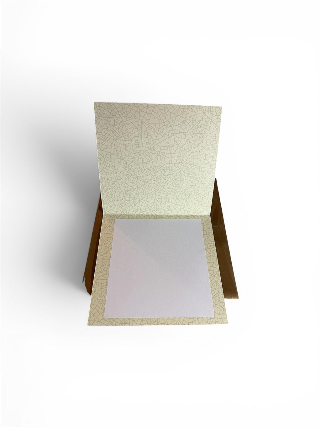 Large Spider Note Card blank card